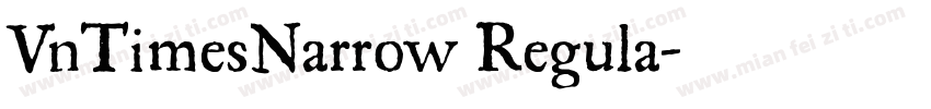 VnTimesNarrow Regula字体转换